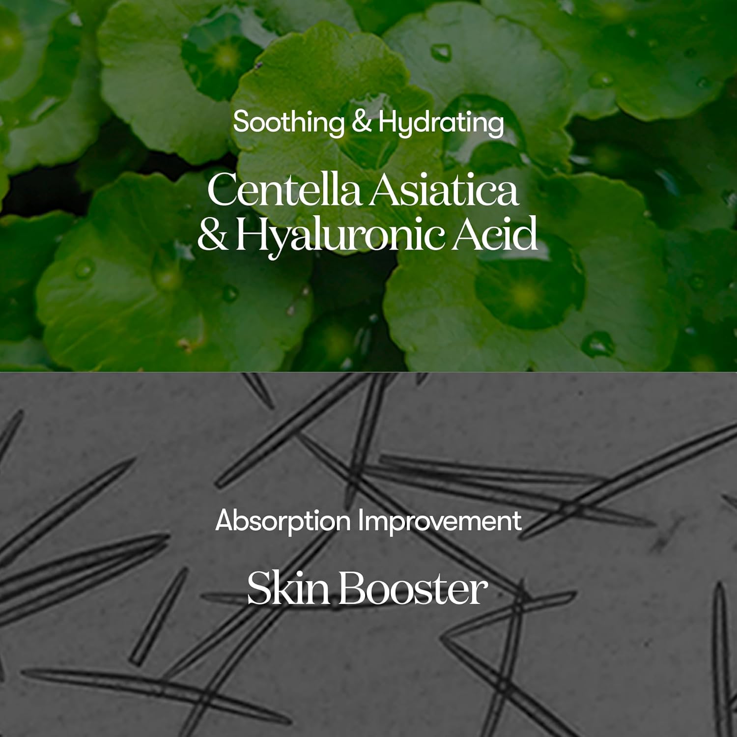 VT Reedle Shot - Image 11